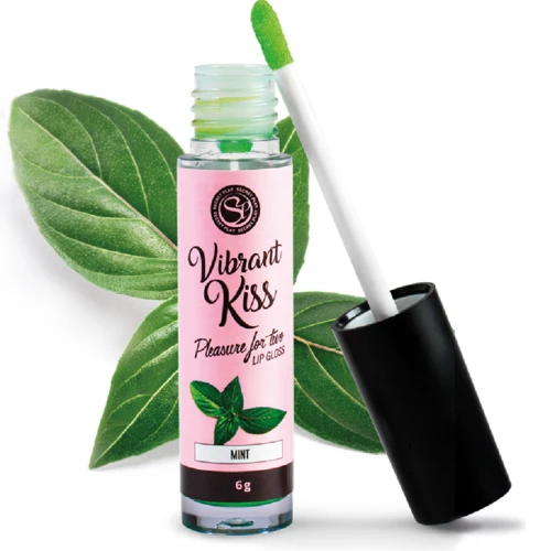 Lip Gloss Vibrant Kiss Menta